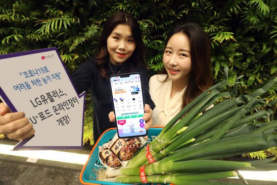 장터소비자마트 이미지