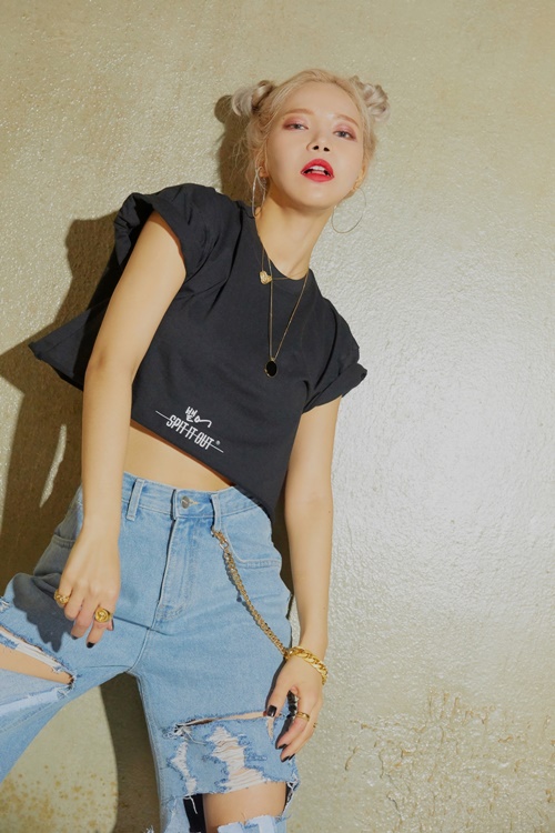 솔라 이미지