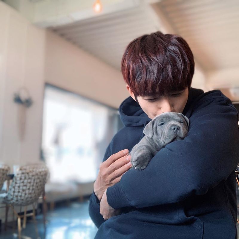 The warm routine of Hwang Kwanghee has been revealed.Singer Hwang Kwanghee posted a picture on his instagram on April 24 with an article entitled Oguo cute I met during shooting.The photo shows Hwang Kwanghee holding a puppy in her arms; a warm eye catches her eye.kim myeong-mi
