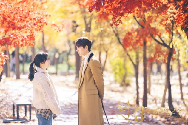더킹 이미지