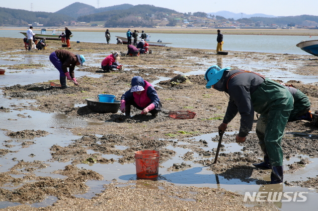 청산유통 이미지