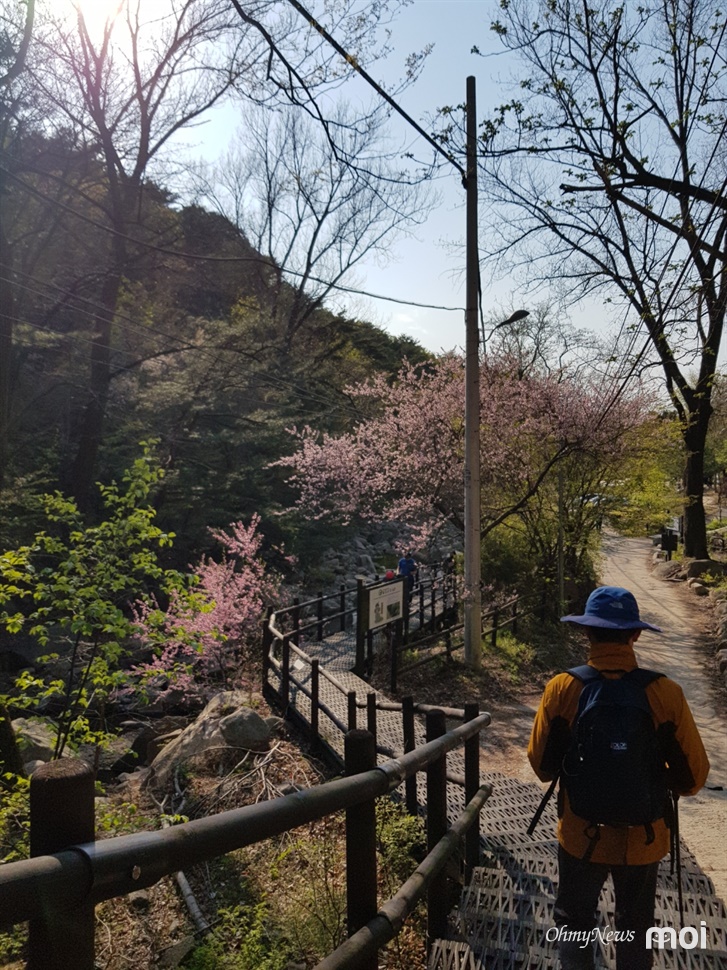 풍경꽃방 이미지