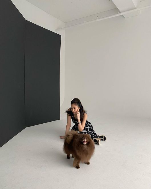 Jenny Kim of group BLACKPINK has released a photo shoot with Pet.Jenny Kim posted several photos on her Instagram on the 26th.In the photo, Jenny Kim, who has a high hair tied up, wears various costumes and takes a picture with Pet.Jenny Kims sense and beautiful looks, which perfect the colorful fashion from youthful mini skirts to elegant long dresses, attract attention.Meanwhile, BLACKPINK, which Jenny Kim belongs to, is currently in the process of preparing for a new album and comeback, and has recently gathered attention with news of collaboration with world pop star Lady Gaga.jennie Kim Instagram