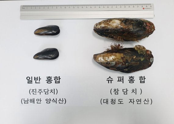 옹진슈퍼 이미지