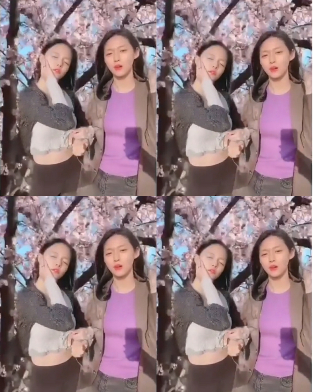 On April 30, group AOA member Jimin released the Jurasura Challenge video with the same group member Seolhyun.Jimin and Seolhyun in the public video are exciting with humorous expressions and choreography in accordance with Kim Shin-youngs Jurajura.Fans who watched the video responded that Jimin, Seolhyun is full of talent and sisters are so funny.On the other hand, Kim Shin-youngs music source Jurajura, which is released as a secondary character singer Second Aunt Kim Dabi, is an impressive song with the lyrics that solve the grievances and affections of the workers.Group AOA, which includes Jimin and Seolhyun, successfully completed the Come to see me activity last year.Park Eun-hae