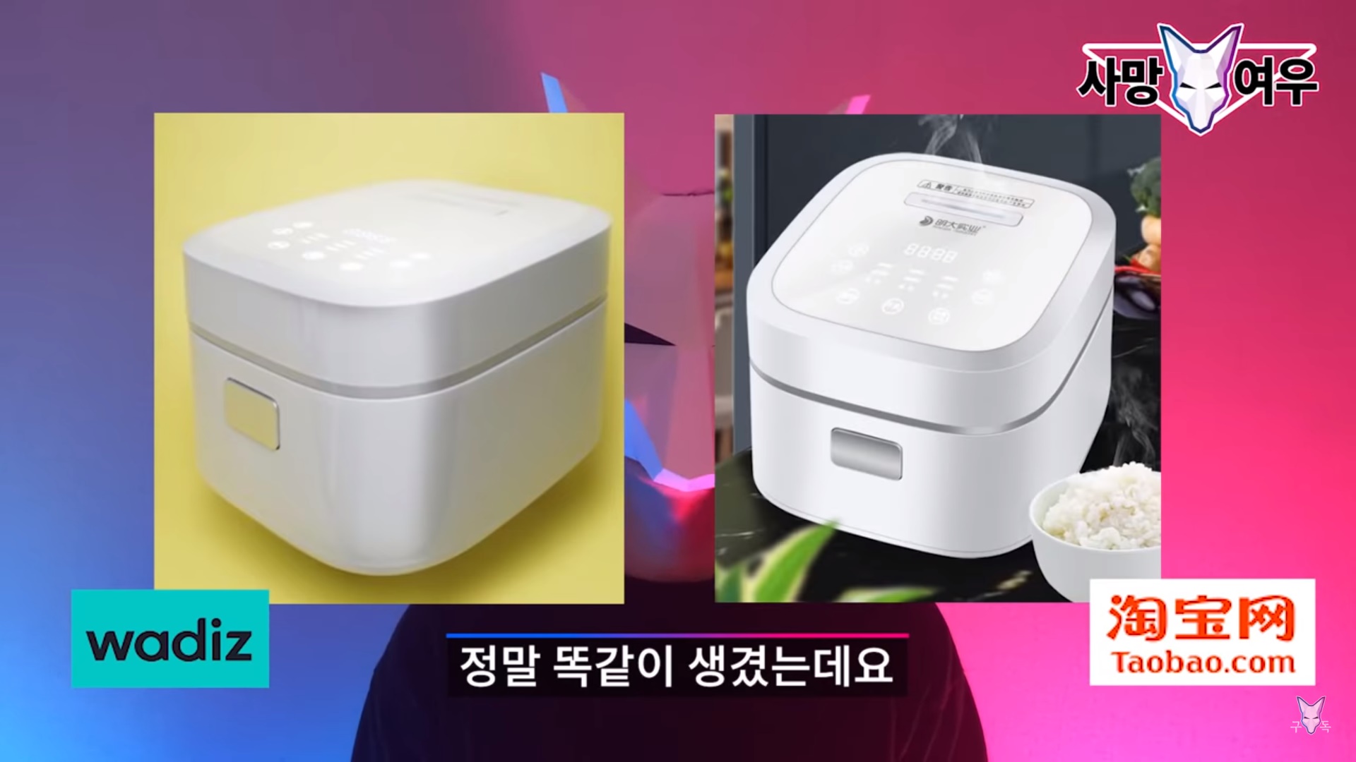 다미쿡 이미지