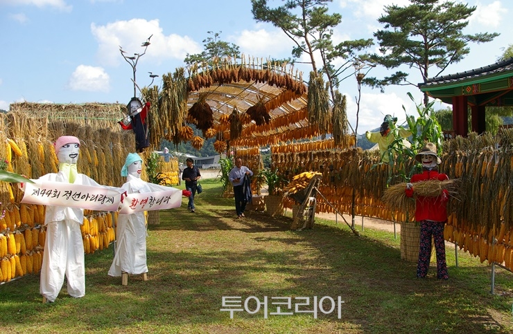 정선아라리기획 이미지
