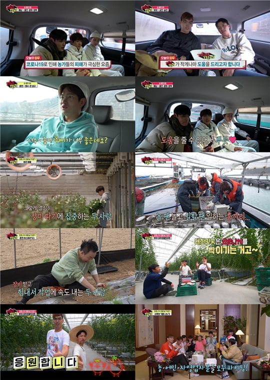 끼리끼리 이미지