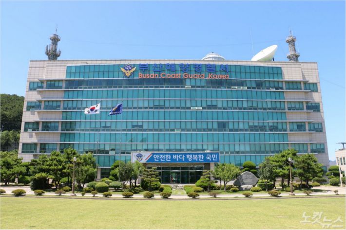 부산멍게 이미지