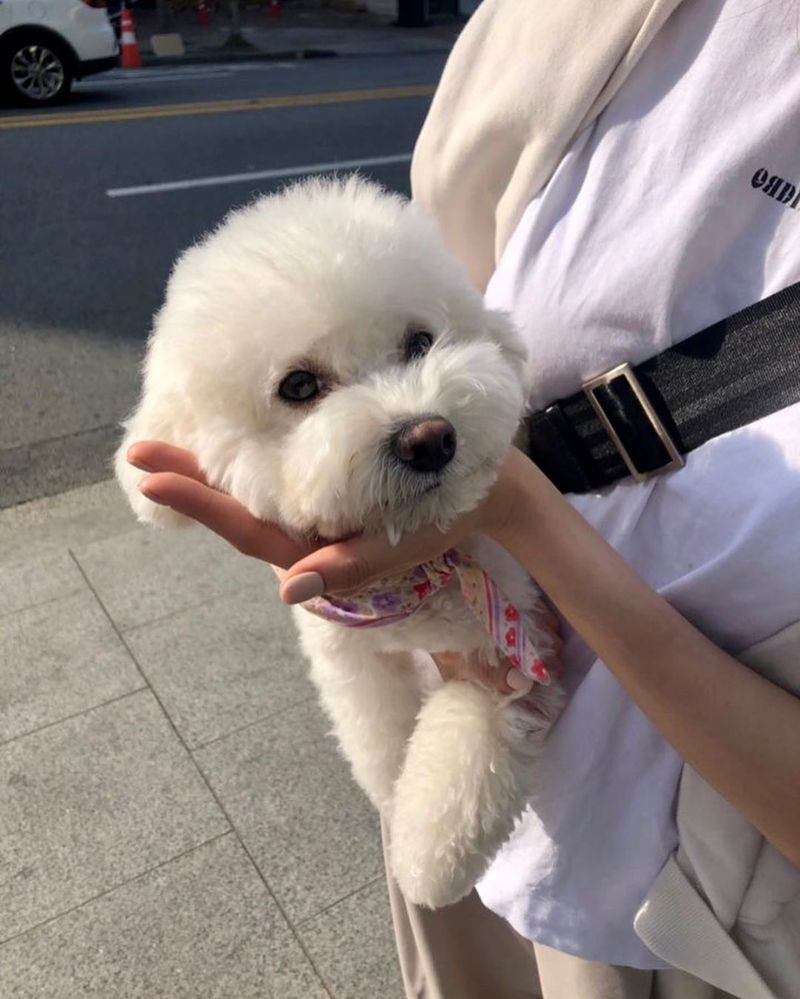 Actor Lee Sung-kyung reveals Pet and current statusLee Sung-kyung posted four photos on his Instagram on May 5 with an article entitled A High World by My Sister: This Time of the Year... Hinny Lang.Lee Sung-kyung in the public photo stands with Pet. Lee Sung-kyungs cowpaw and superior giraffes catch his eye.Pets cute figure was also revealed and laughed.On the other hand, Lee Sung-kyung played the role of Cha Eun-jae in SBS Romantic Doctor Kim Sabu 2.Park Eun-hae