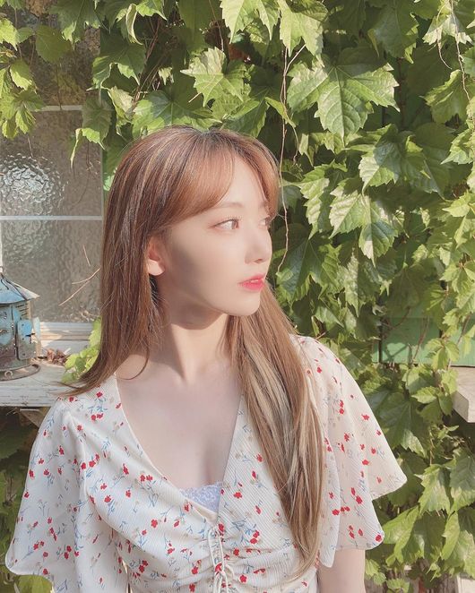 Girl group IZ*ONE member Miyawaki Sakura showed off her beautiful looks like Spring and as fresh as Summer.On the 5th, IZ*ONE official Instagram posted an article and a photo saying, Is it Spring now or Summer already?The photo contains Miyawaki Sakura, who has a brown-colored long straight hair, and is dressed in a flower-patterned, innocent atmosphere.Feeling the warm sunshine, Miyawaki Sakura catches the eye with beautiful looks as bright as spring but as fresh as Summer.On the other hand, IZ*ONE, which Miyawaki Sakura belongs to, released Bloom Eyes in February and actively acted as the title song Piesta.