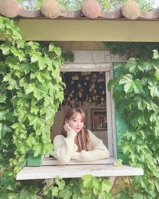 Girl group IZ*ONE member Miyawaki Sakura showed off her beautiful looks like Spring and as fresh as Summer.On the 5th, IZ*ONE official Instagram posted an article and a photo saying, Is it Spring now or Summer already?The photo contains Miyawaki Sakura, who has a brown-colored long straight hair, and is dressed in a flower-patterned, innocent atmosphere.Feeling the warm sunshine, Miyawaki Sakura catches the eye with beautiful looks as bright as spring but as fresh as Summer.On the other hand, IZ*ONE, which Miyawaki Sakura belongs to, released Bloom Eyes in February and actively acted as the title song Piesta.