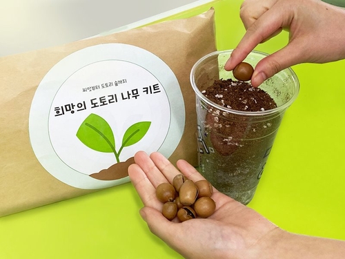 도토리기획 이미지