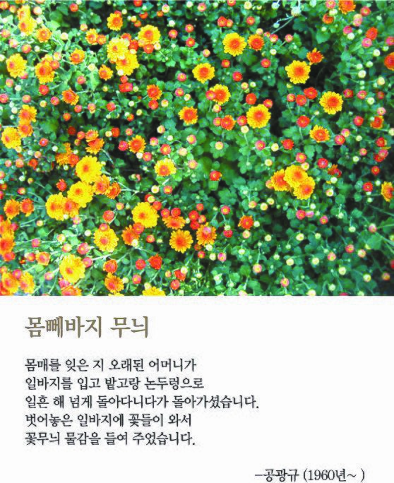 사진과 시가 만난 디카시가 인기다. 단행본 『세상에 하나뿐인 디카시』(북투데이)에 실린 작품들.