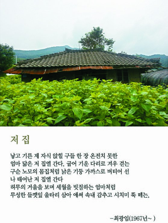 사진과 시가 만난 디카시가 인기다. 단행본 『세상에 하나뿐인 디카시』 (북투데이)에 실린 작품들.