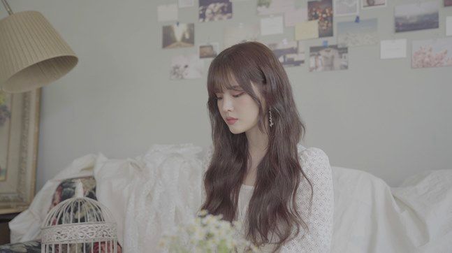 플렉스 이미지