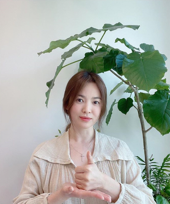 Actor Song Hye-kyo joined the Thanks to the Challenge.On the 6th, Song Hye-kyo told his social network service (SNS) Instagram that I got the point of Kim Hye-soo and participated.I am deeply grateful to the Korean medical staff for their sacrifice beyond hard work. He added a Hashtag called # Thanks to the Challenge # Campaign and posted a picture.In the public photos, Song Hye-kyo wearing a beige blouse poses and expresses Thank You heart.He also boasted of grace and innocence in his modest appearance, capturing his attention.Song Hye-kyo finally said, Thank you by pointing out Kim Young-joon photographer and W magazine editor Lee Hye-joo as the next batter.Meanwhile, Lindsey Vonn is a national participation campaign that supports medical staff fighting at the forefront to overcome new coronavirus infections (Corona 19).You can post your sign language movements (with your right thumb up), cheering messages, and Hashtag on your SNS and point out the next runner.