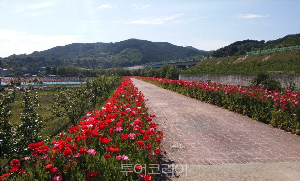 햇볕에영농조합법인 이미지