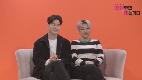 치타 이미지