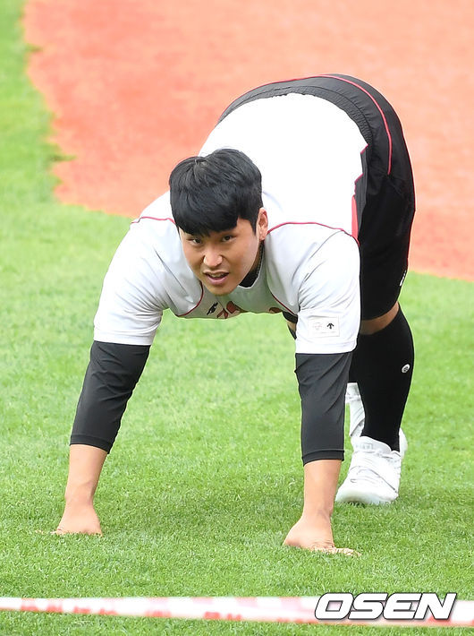 사족보행 이미지