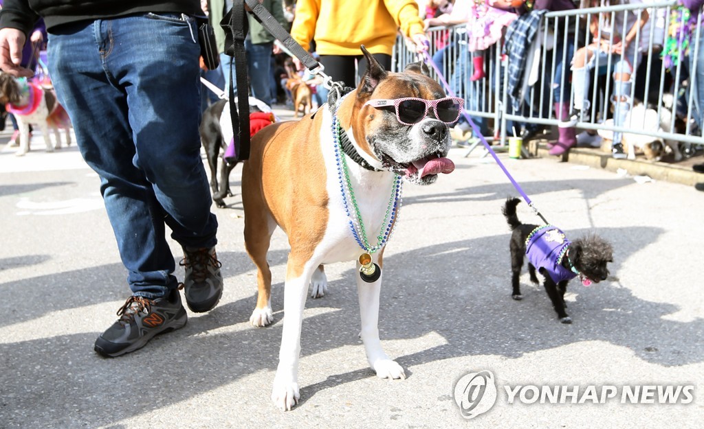 주인 이미지