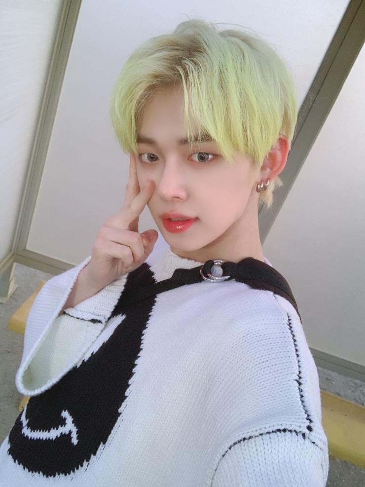 캔디헤어 이미지