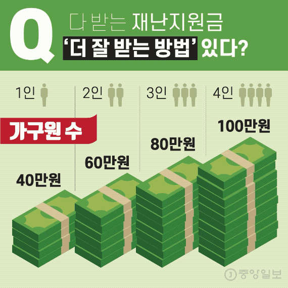 재난지원금, 잘 받으려면? 그래픽=차준홍 기자