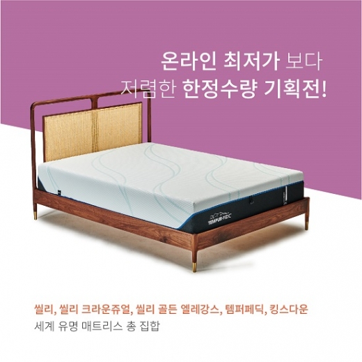 베드디포용인 이미지