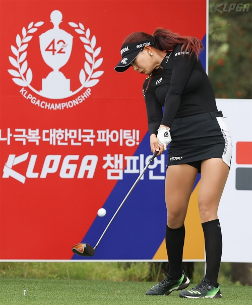 숲프로 이미지