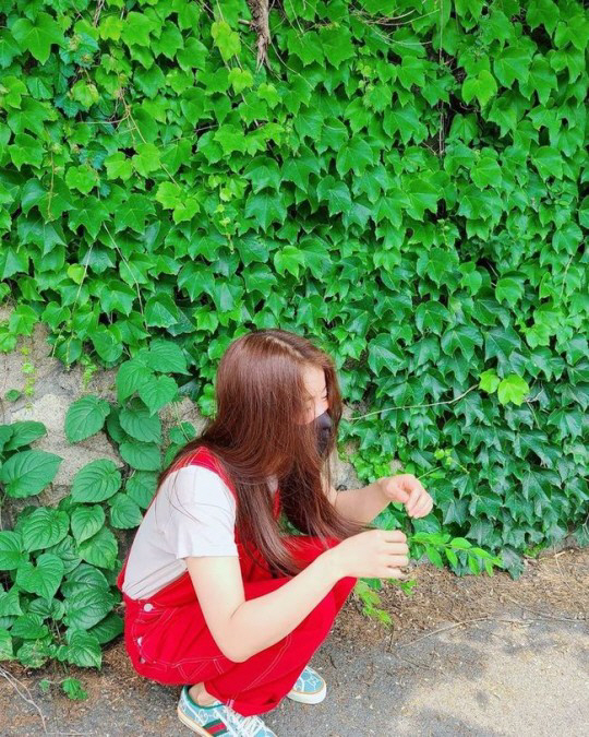 대청소닷컴 이미지