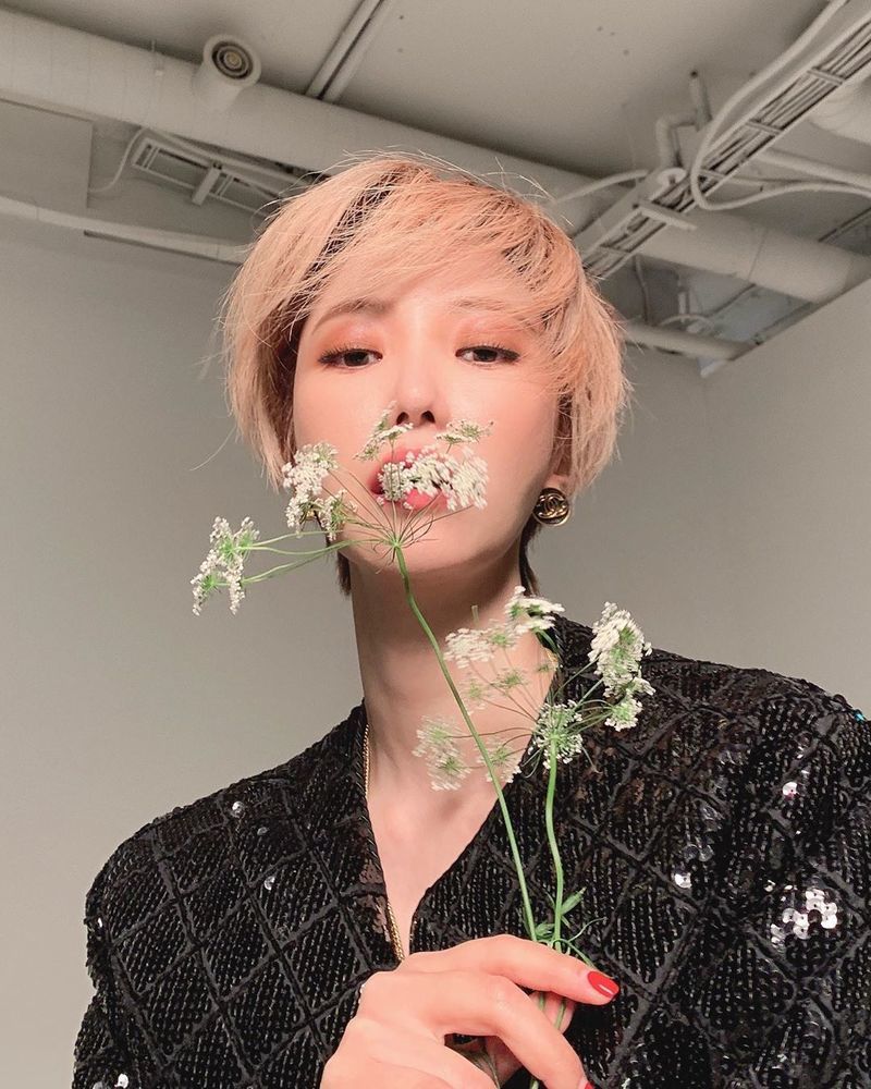 꽃미용실 이미지