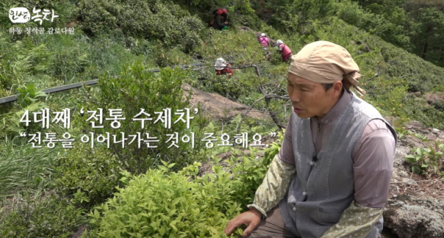 다원플러스 이미지