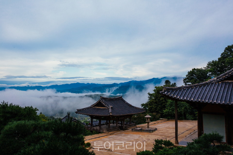 한유망 이미지