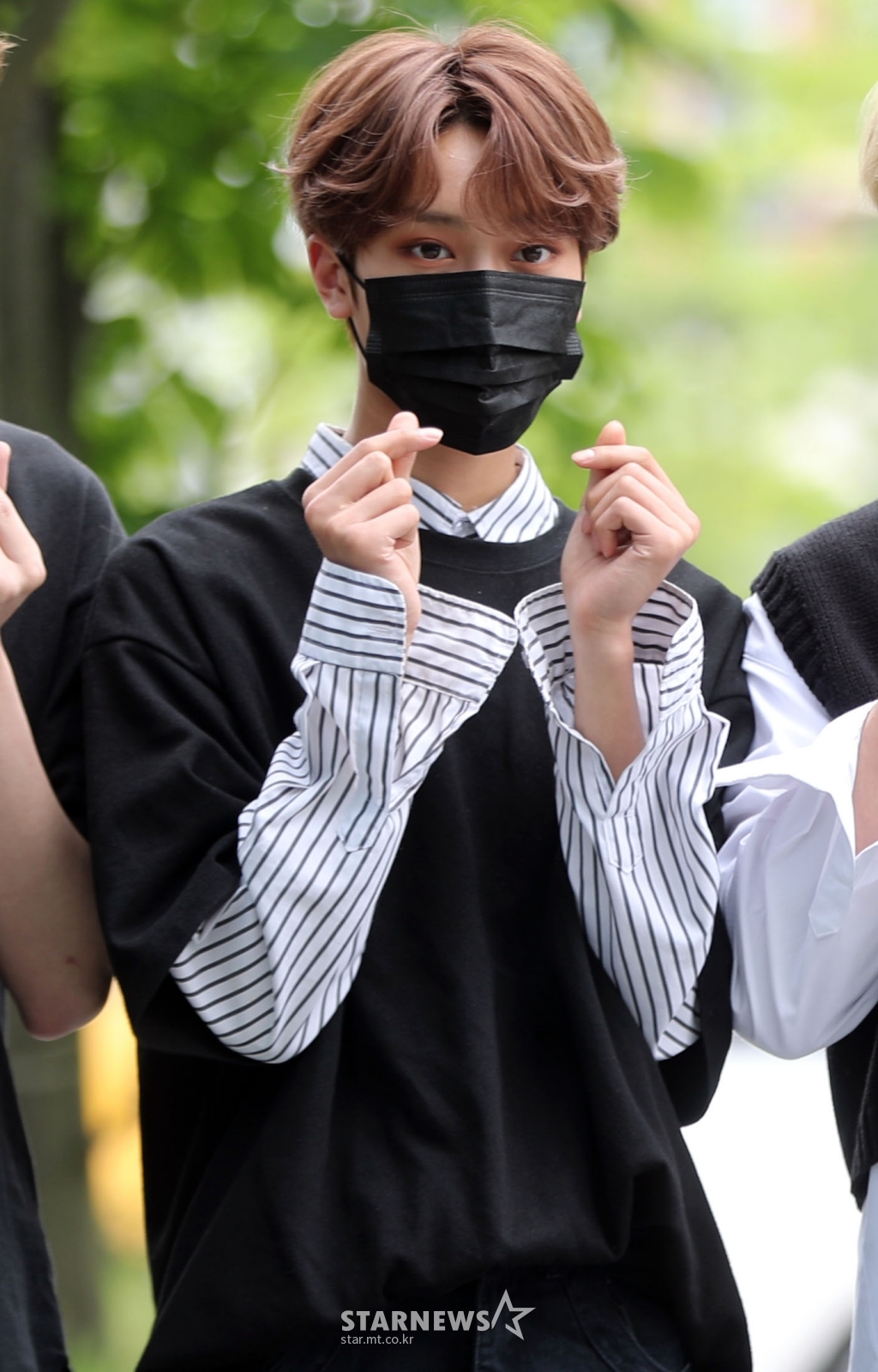 태영 이미지