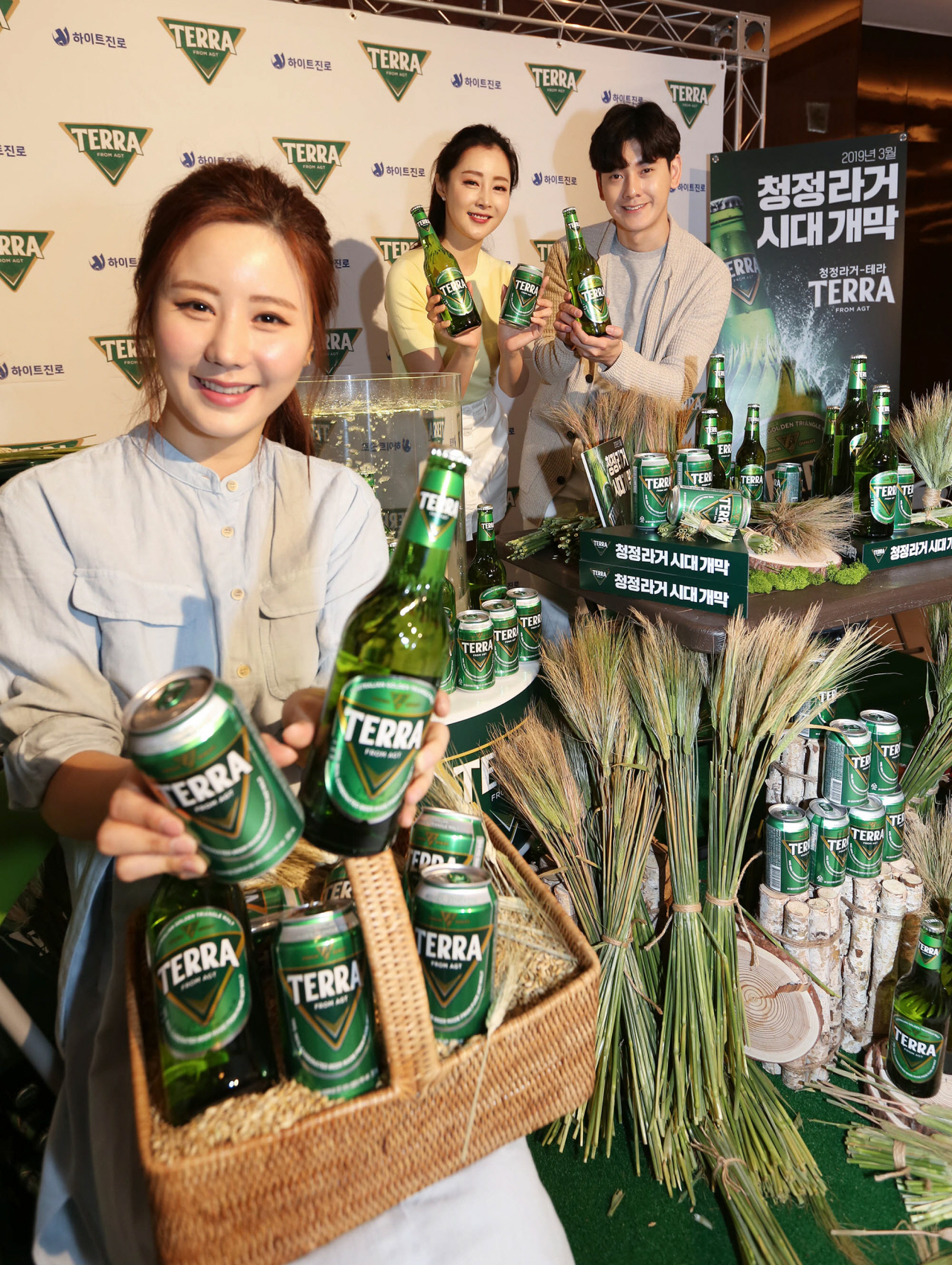 테라 이미지