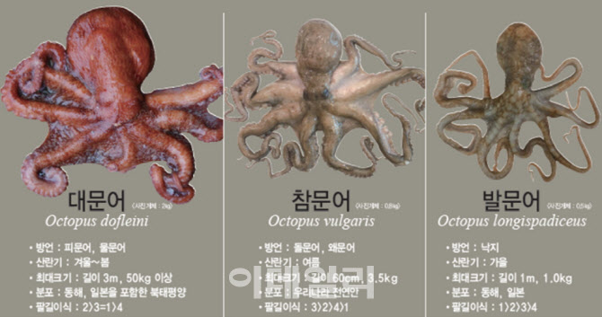 대문수산 이미지