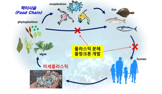 플랑크톤 이미지