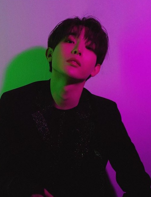 마이스트주 이미지