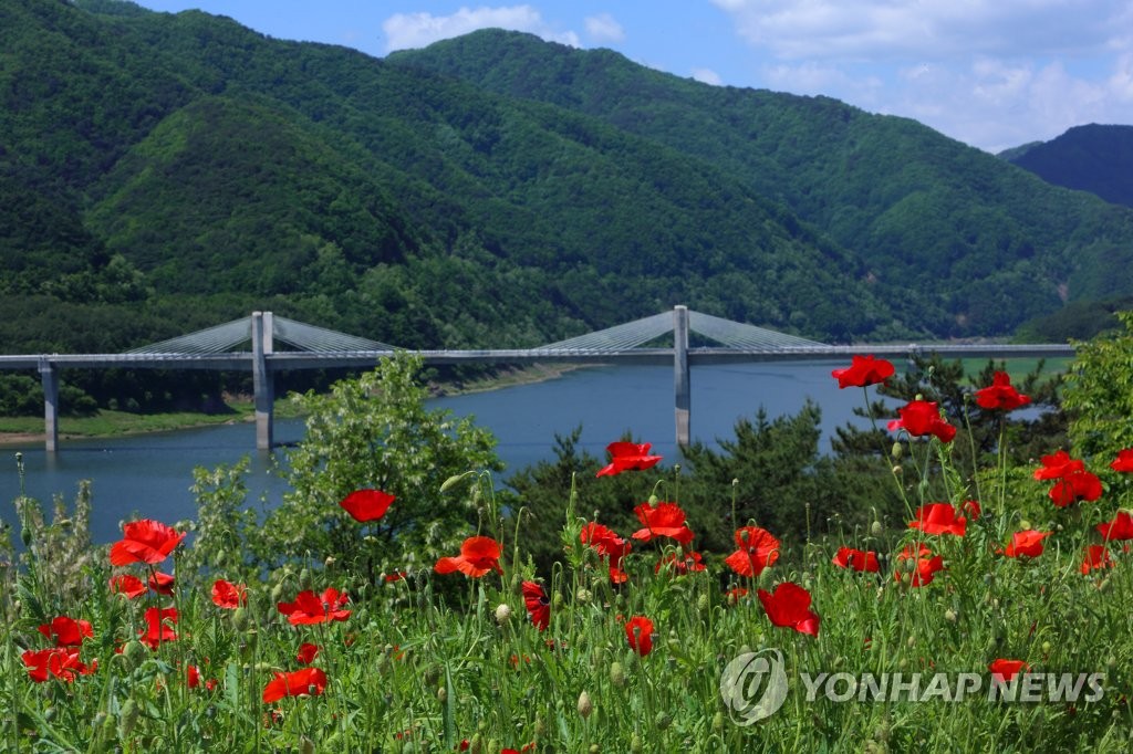 인제할인마트 이미지