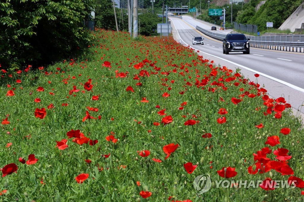 인제할인마트 이미지