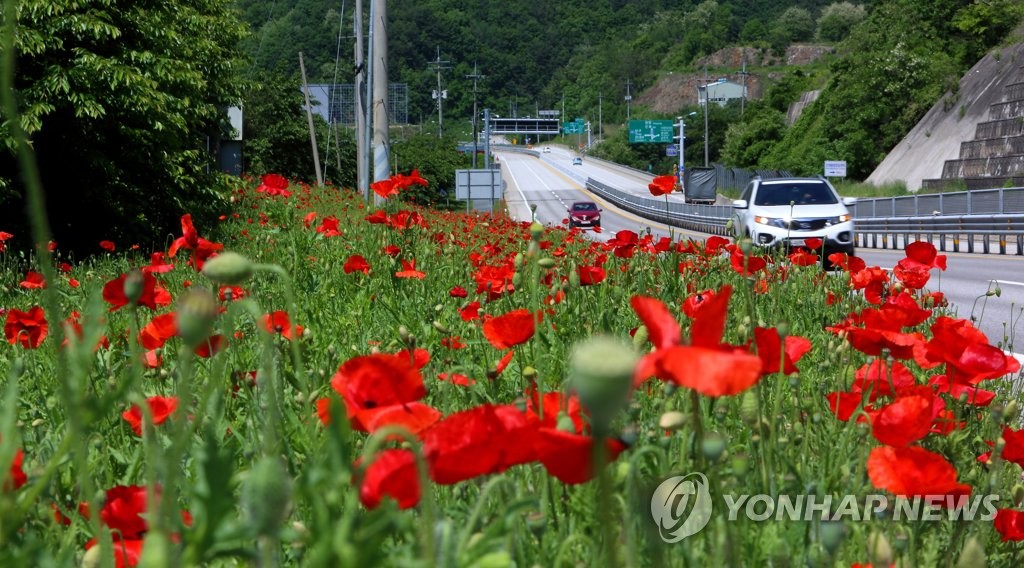 인제할인마트 이미지
