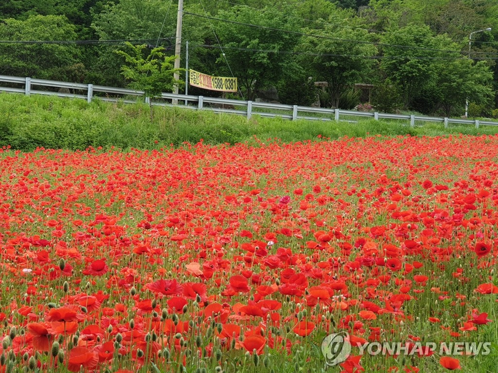 인제할인마트 이미지