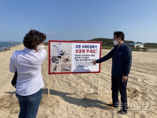 포항 이미지