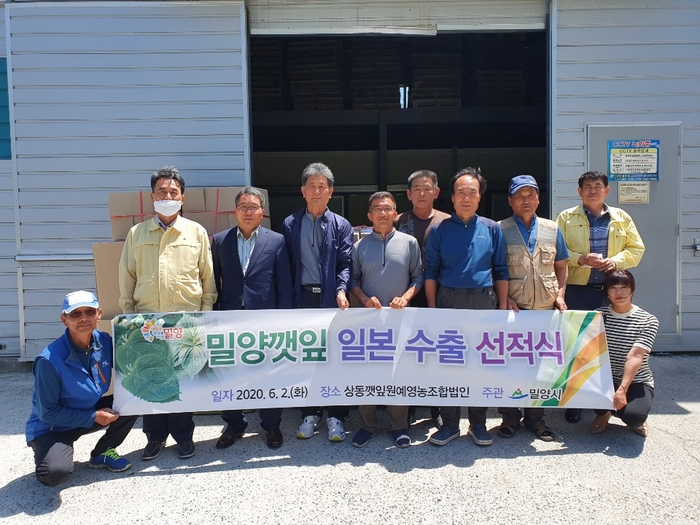 밀양깻잎 이미지
