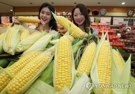 더초당 이미지