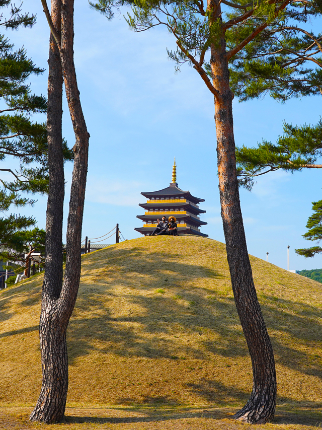 정상 포토존 이미지