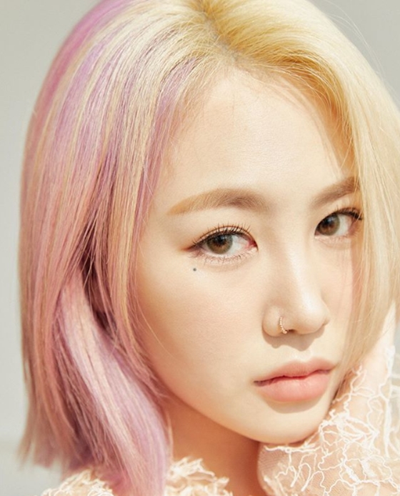 제이미 이미지