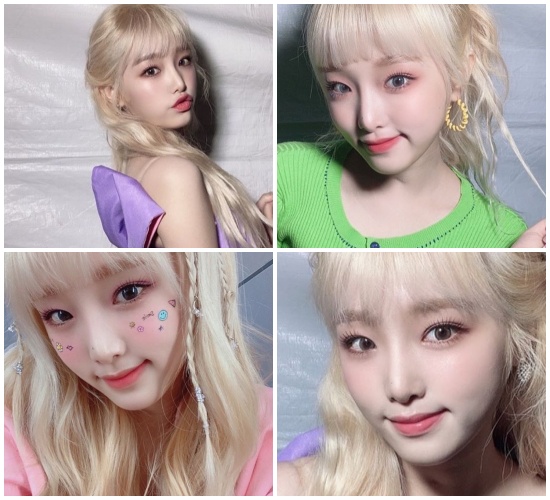 오리대장 이미지