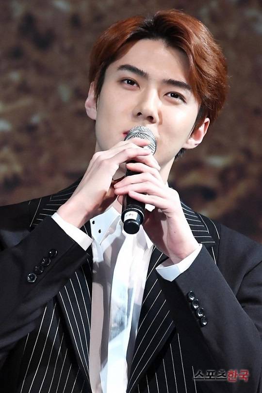 EXO Sehun is discussing the movie The Pirate Movie 2.9th day SM Entertainment said, Sehun is proposing to appear in the movie The Pirate Movie 2 and is discussing positively. There is no decision at present.Sehun is said to have been offered the role of a sculptural handsome man, a major figure and archery specialty among The Pirate Movie.When Sehun confirms his appearance, The Pirate Movie2 becomes a screen debut.He has previously challenged full-fledged acting through the 2018 web movie Doggo Rewind.Meanwhile, The Pirate Movie2 is a sequel to The Pirate Movie: Bandits to the Sea, which was released in 2014 and attracted more than 8 million viewers.The Pirate Movie 2, directed by Kim Jung-hoon, confirmed the appearances of Kang Hee, Han Hyo-joo, Lee Kwang-soo and Kwon Sang-woo.