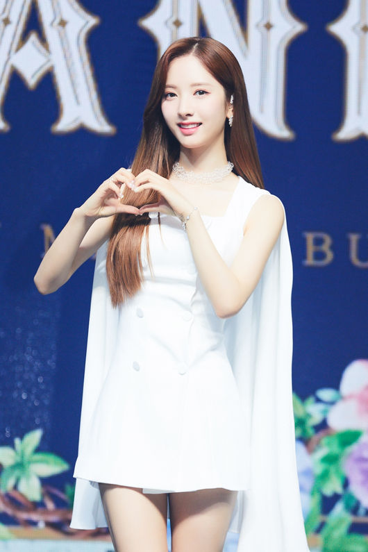 우주나비 이미지